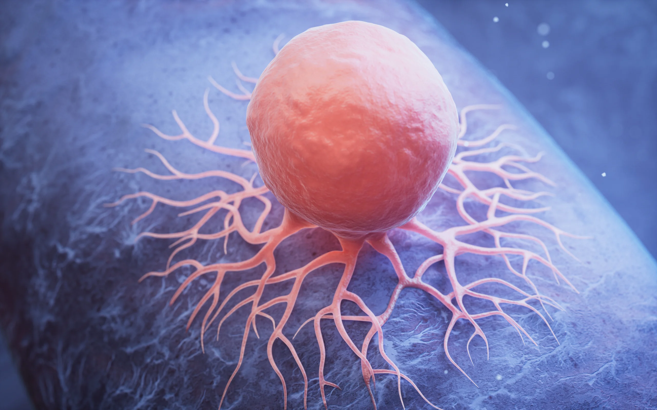 Is Cancer Genetic