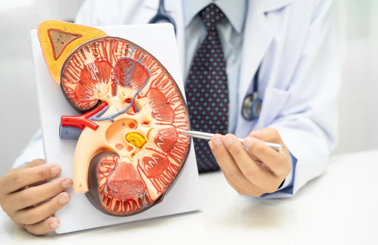 What Causes Kidney Failure